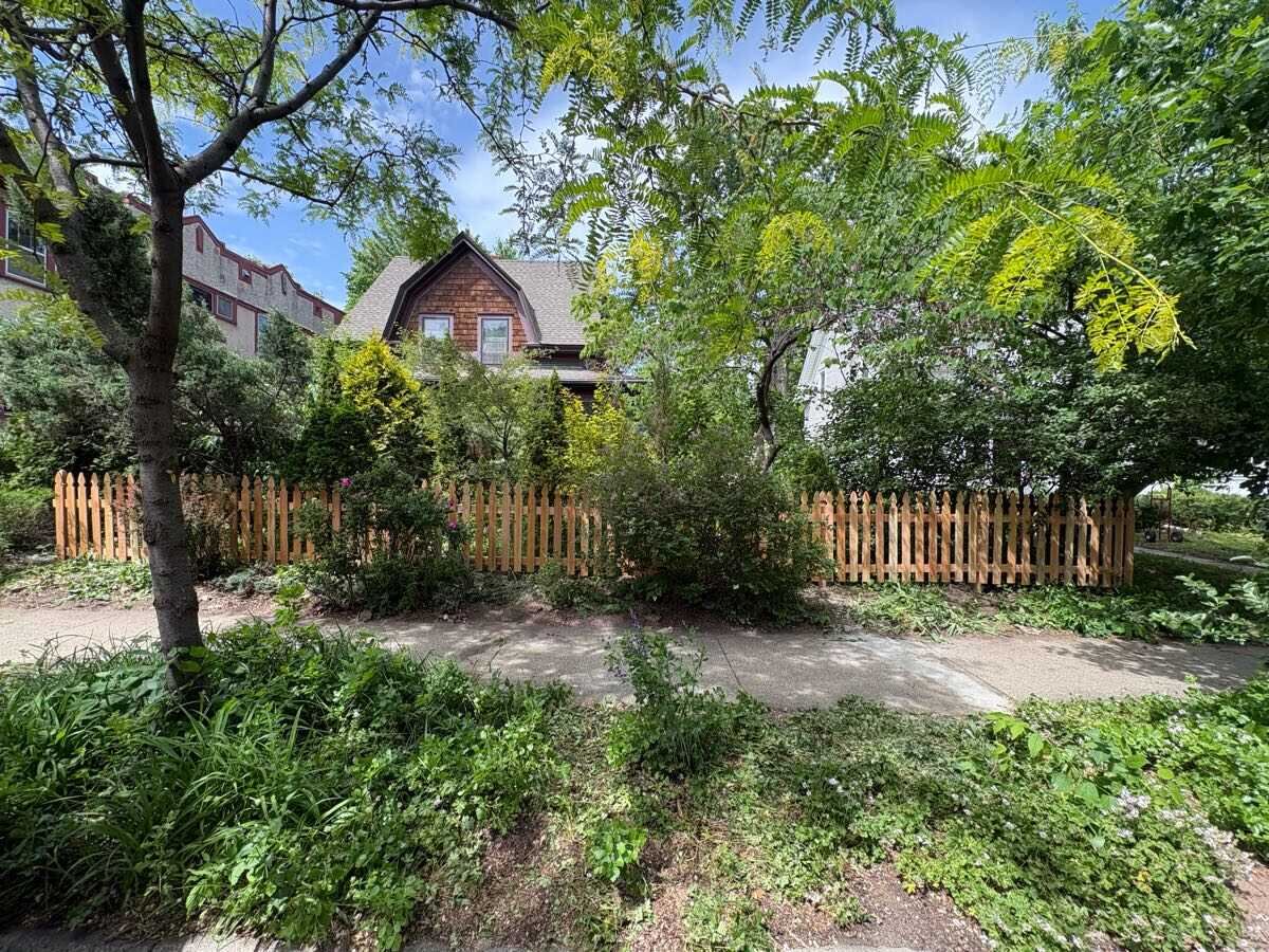 Before: overgrown beds crowding a picket fence