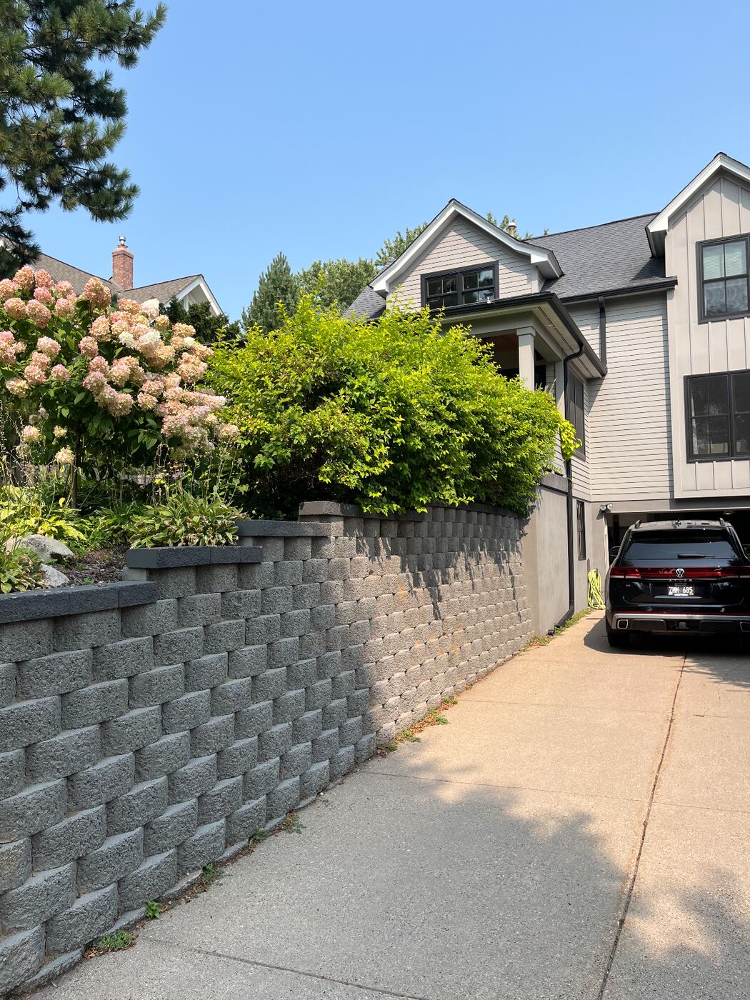 Before: overgrown shrubs spilling over the retaining wall along a driveway