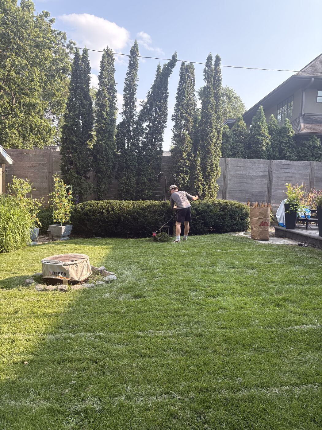 Crew member trimming a long backyard hedge