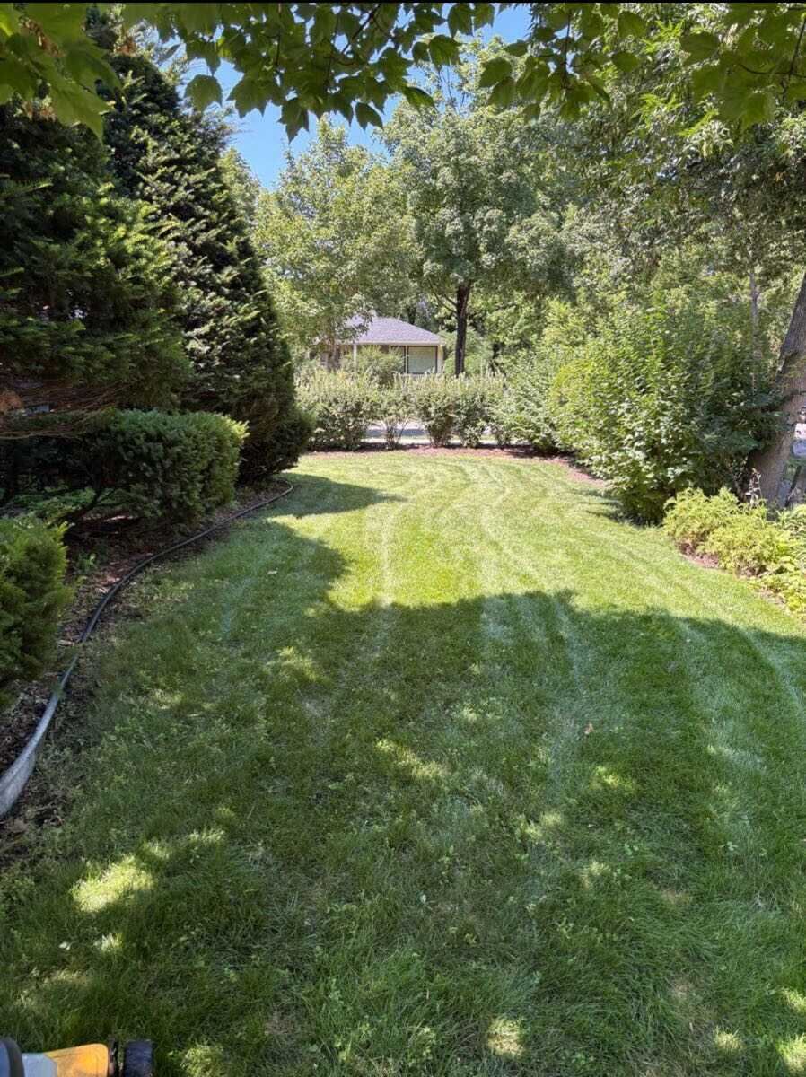 Freshly mowed backyard lawn