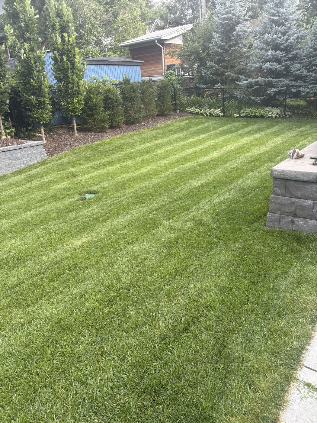 Striped, freshly mowed lawn beside a new retaining wall and privacy planting