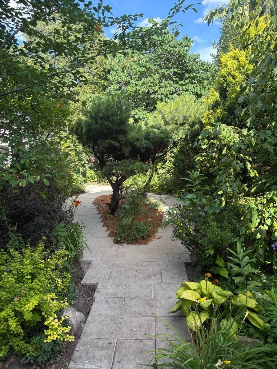 Paver path winding through a lush garden
